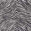 Iconic Zebra Fabric-31247134