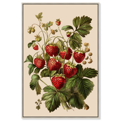 Strawberry Softness I, impressions sur toile par Art Remedy