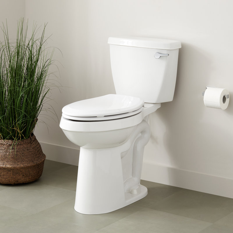 Bradenton Two-Piece Elongated Toilet with 14" Rough-In - 19" Bowl Height - Polished Nickel Handle, Polished Nickel, 12"