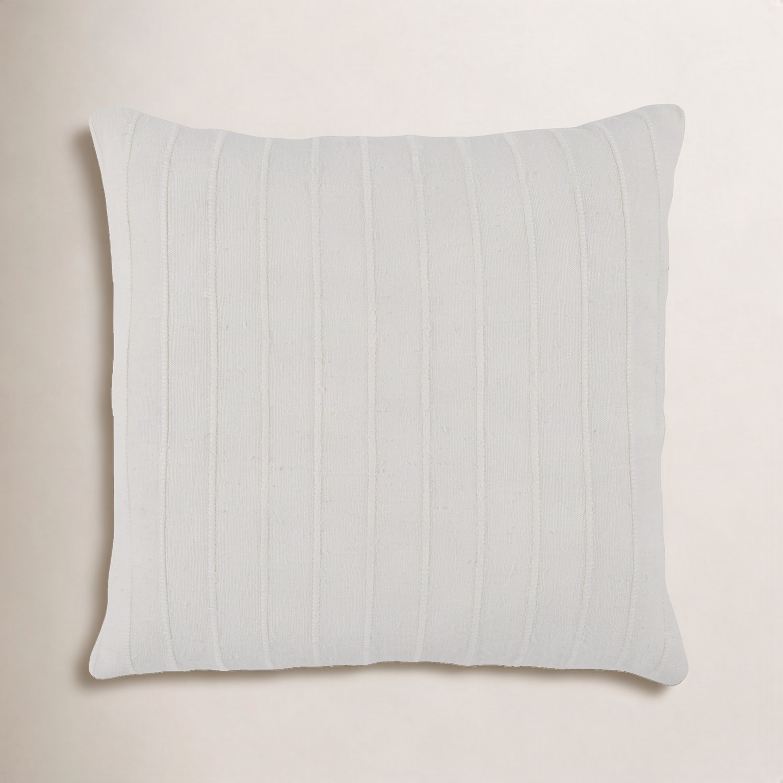 Leonitus 22" x 22" Throw Pillow, White