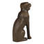 Labrador, brun antique