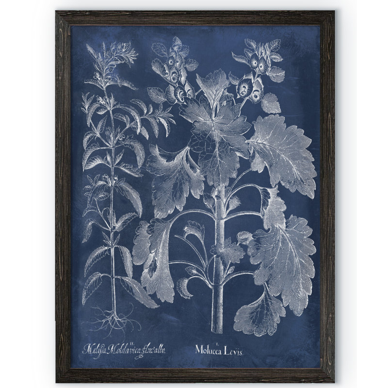 «Besler Leaves in Indigo I» par Paul Cezanne - reproduction d'art encadrée, H 30 po x l 22 po x P 1 po
