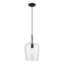 Luminaire suspendu en pot 1 lumière Vandeveer-493648724
