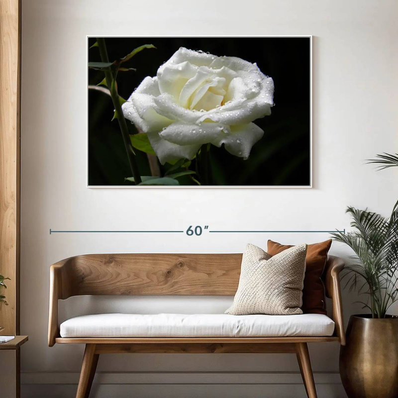 Gouttes de rosée sur rose blanche, 46 po x 31 po, Cadre flottant blanc