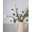 White Ranunculus 18.5"