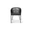 Fabiano Patio Dining Armchair with Cushion-267658094
