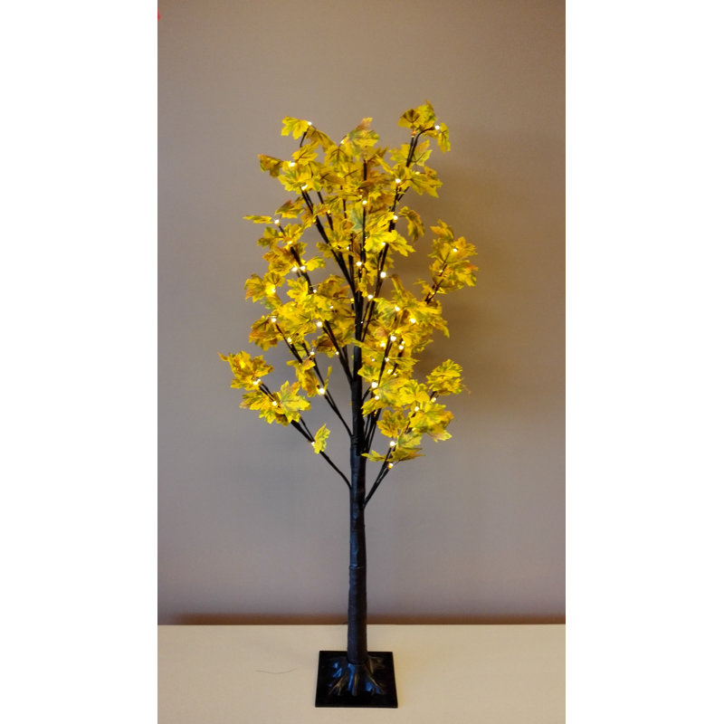 Arbre d’érable avec lumières del de feuilles