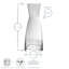 Bormioli Rocco Ypsilon Glass Carafes
