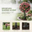 55 cm H Faux Plant-1530043612