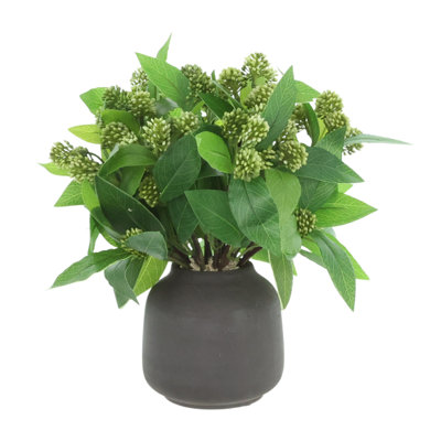 Sedum Bush in Fiberstone Vase