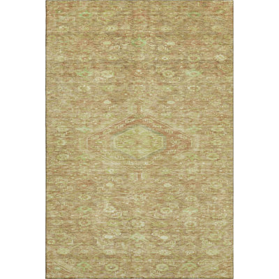 Premium Machine Washable Barry AMF1225 Medallion Rug