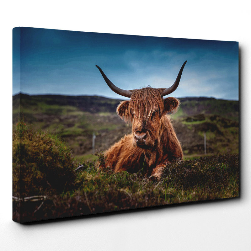 Wrapped Canvas Print, 70cm H x 100cm W
