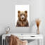 Adorable bébé ours Brampt-108361868