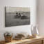 Gallery Cavas-1727220114