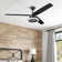 Blade 52" Ceiling Fan with LED Light