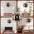 Black Bear Decorative Wall Clock for Home