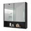 Pharmacie avec miroir et tablette 24 po Ozark-582679445