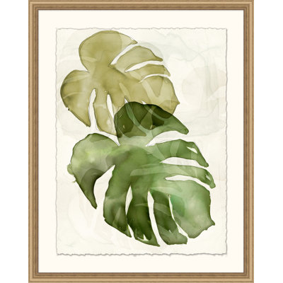 Elephant Ears 1 Framed Print