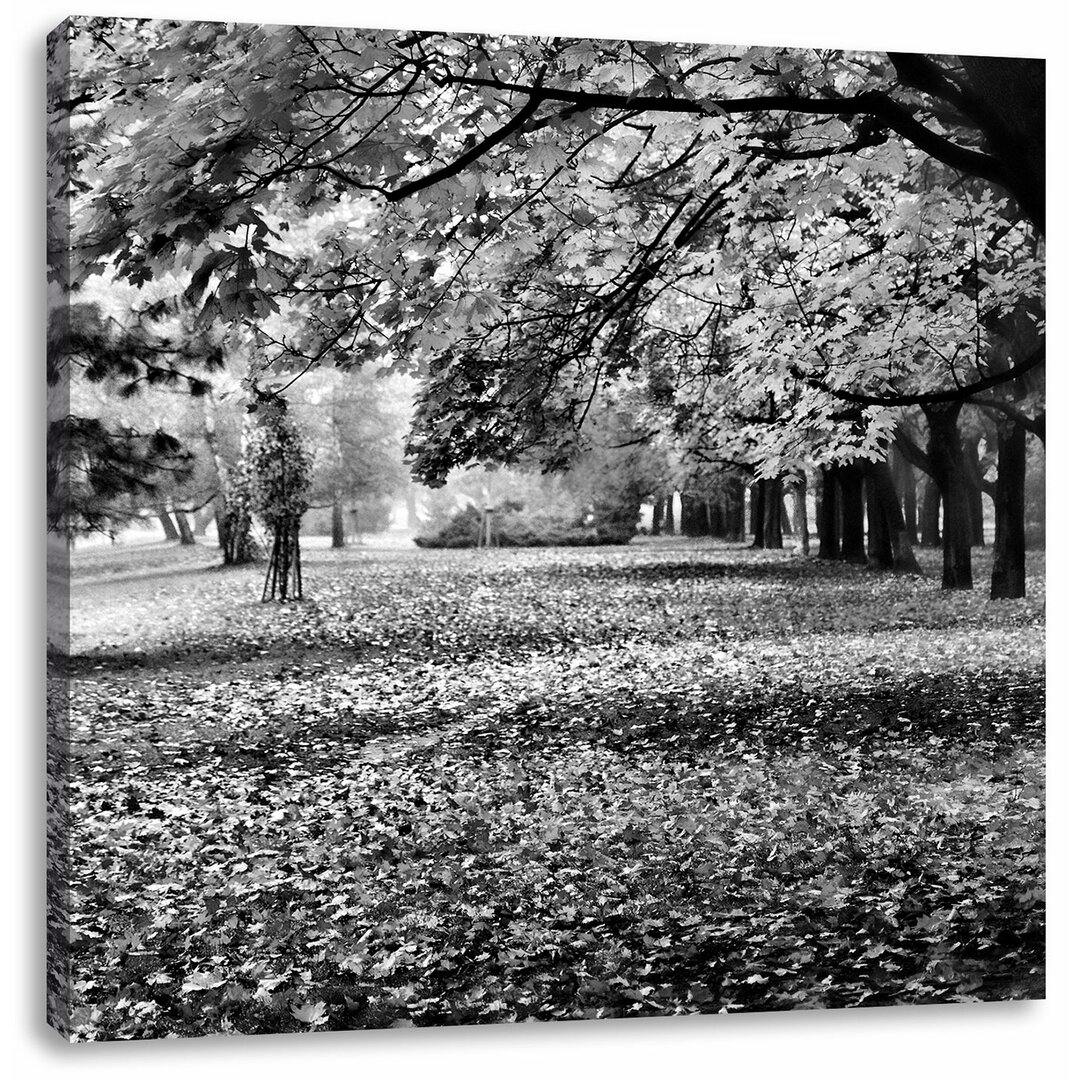 Leinwandbild Rot gefärbter Park im Herbst