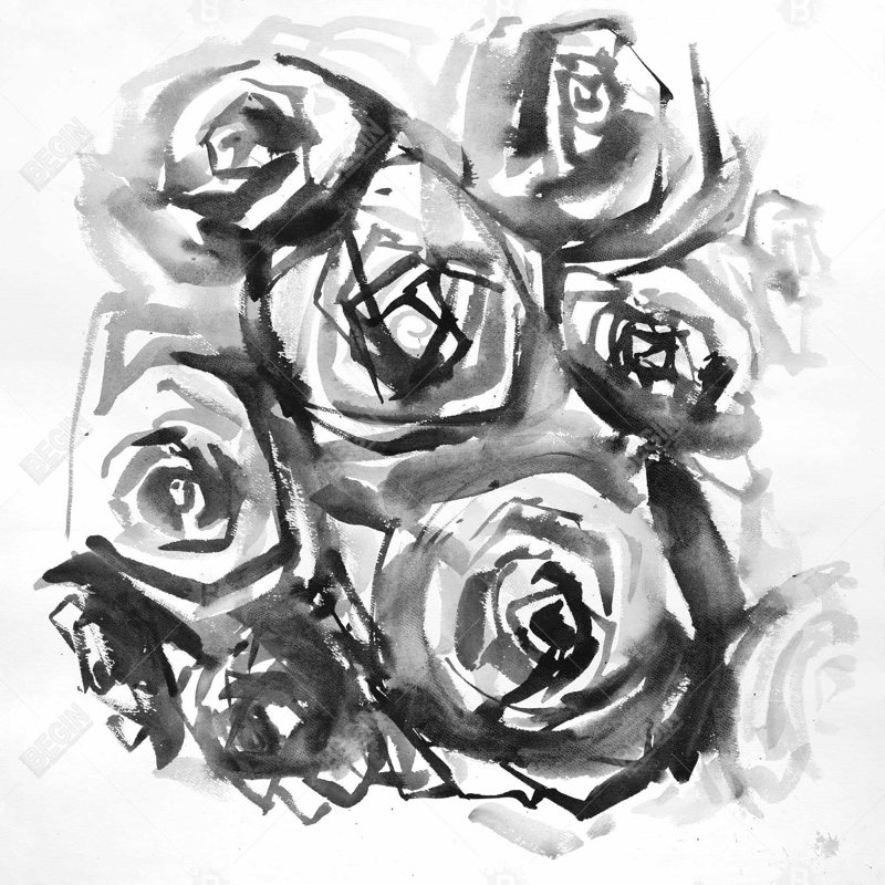" Monochrome Abstract Roses "