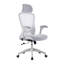 Kjeld Mesh Office Chair with Headrest-317871094
