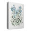 «Delicate Blue Botanical II», reproduction sur toile tendue-1468964238