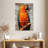 Catalina Macaw-1121970605