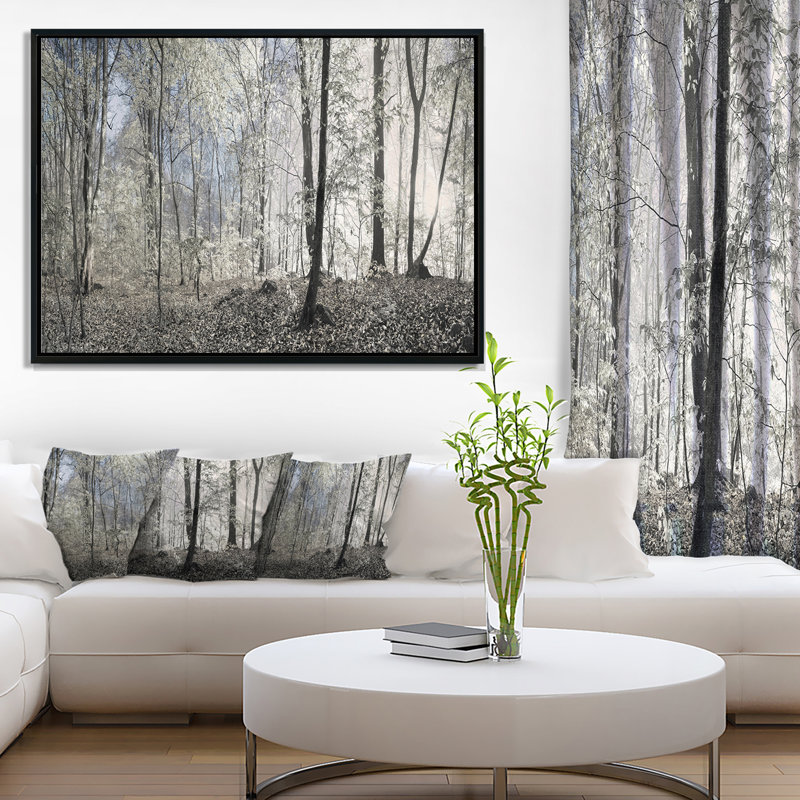 «Landscape Dark Morning in Forest Panorama», reproduction de photo, H 30 po x l 40 po, Toile avec cadre flottant, Noir