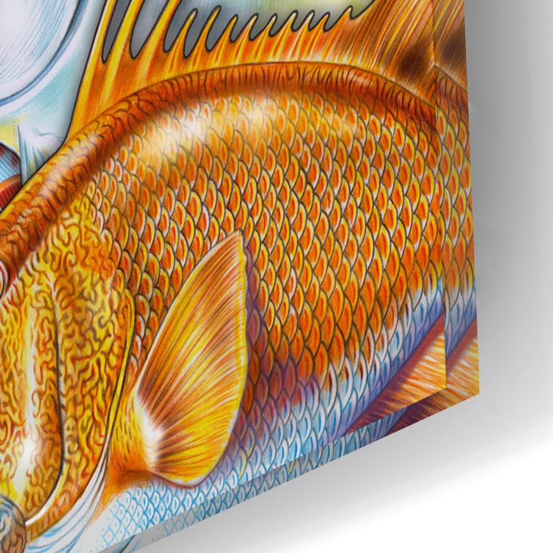  «Collage Sea Life» par Tim Jeffs, art mural en verre acrylique, 12 po x 16 po