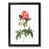 Black Framed selected