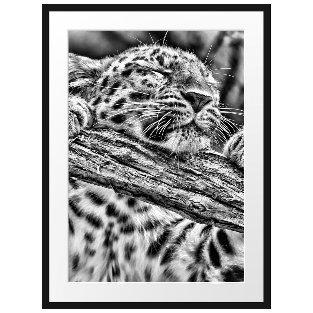 Gerahmtes Poster Verspielter Leopard