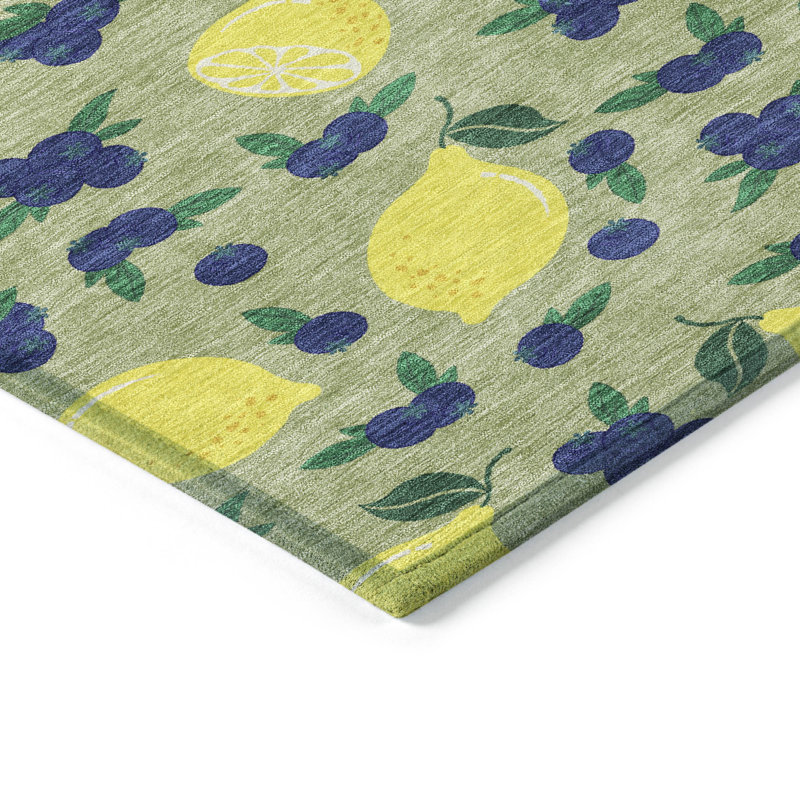 Tapis intérieur / extérieur lavable à la machine Bourkelands ACN2354, Rectangle 10 pi x 14 pi