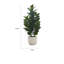 31 po Fausse plante de garginia en pot de ciment