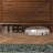 Walnut Solid wood Shoe Storage-1629032409