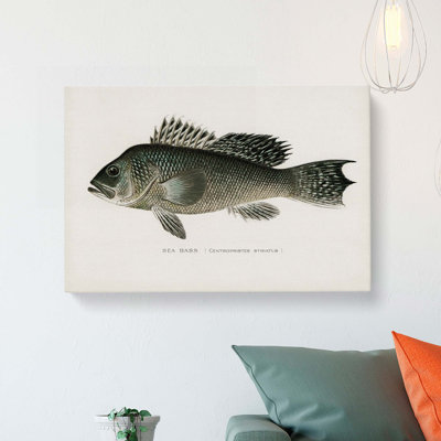 Sea Bass Fish by Sherman F. Denton - Wrapped Canvas Painting Print