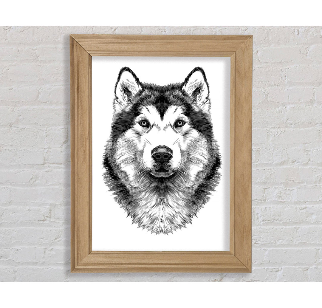 Husky Wolf - Einzelner Bilderrahmen Kunstdrucke