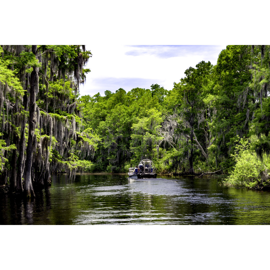 Airboating auf dem Shingle Creek