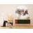 Peel & Stick Floral Wall Mural