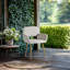 Upholstered Dining Chairs with Arm