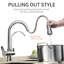 Belfry Kitchen Lanigan Pull Out Kitchen Faucet