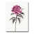 Toile tendue