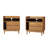 Gheorghe Solid Wood 2-Drawer Nightstands-55675006