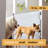 Eldrida Wall Mounted Pet Gate