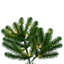 Vickerman Deluxe Sequoia Pine Artificial Slim Pre-Lit Christmas Tree with Warm White LED 5MM Lights-1212568756