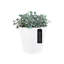 Handmade Pot Planter-37904847-37944886