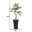 Faux pin artificiel 65 "| Pin artificiel artificiel Real Touch dans un pot de fleurs en pierre noire / bronze