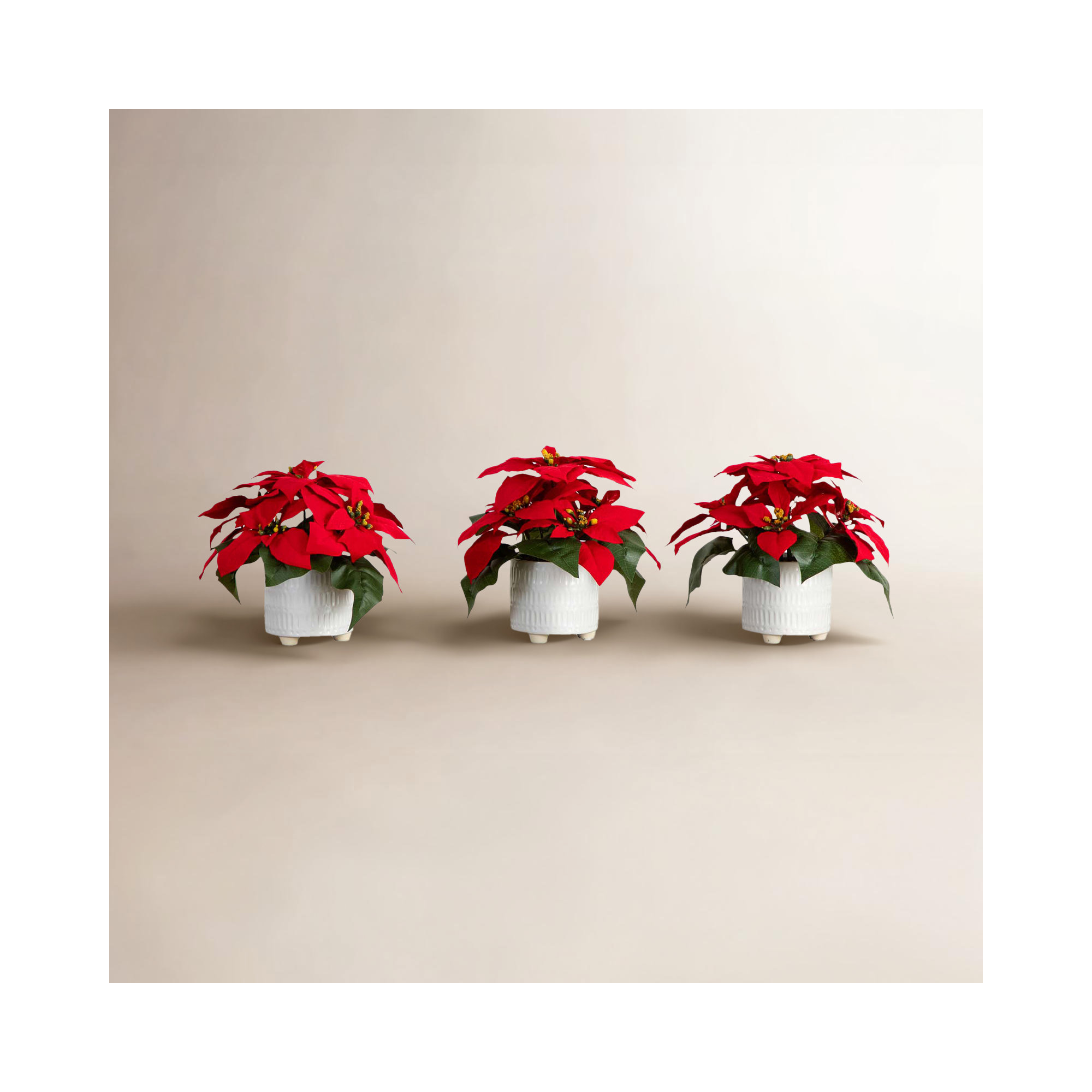 9in. Artificial Poinsettia Arrangements in White Ceramic Pots - Set of 3