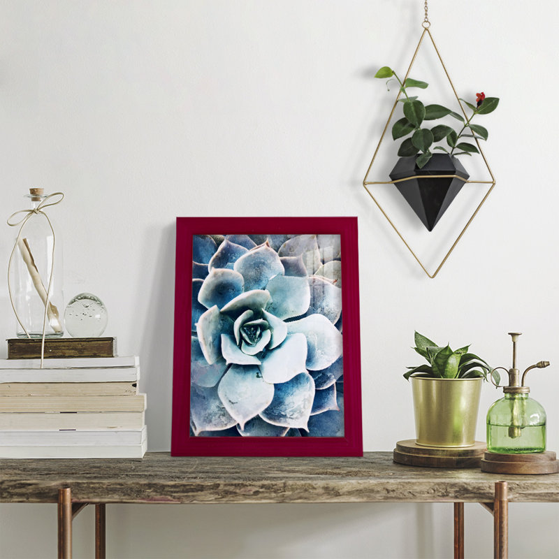 Pastel Succulent Beauty III, encadré sur papier, Rouge, H 11 po x l 9 po x P 1 po