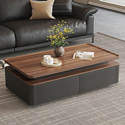 Table basse moderne avec rangement rectangulaire