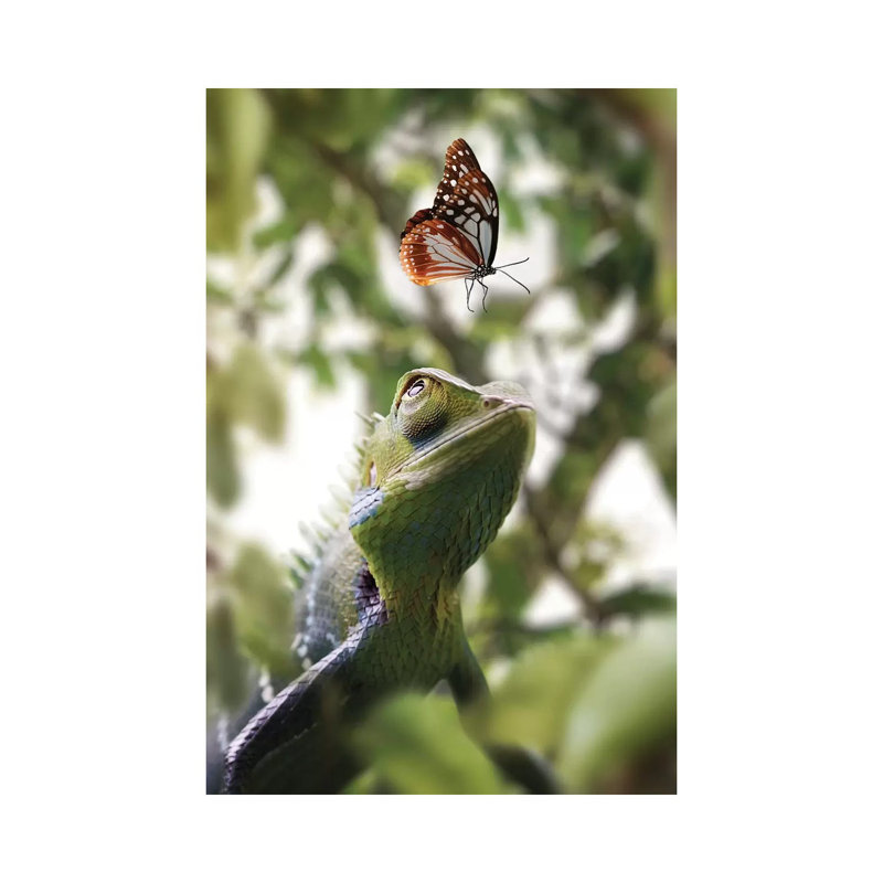 Chameleon And Butterfly by Zenja Gammer - Print on Canvas, 66.04 cm H x 45.72 cm W x 1.91 cm D, Wrapped Canvas